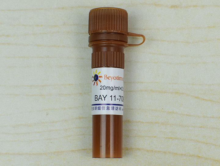 BAY 11-7082 (NF-κB抑制剂)